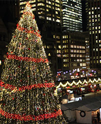 Christmas lights at Nathan Philips Square