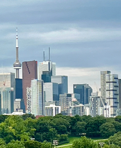 Skyline view from Riverdale Park